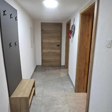 Hafner- Appartments Апартаменты Зальфельден
