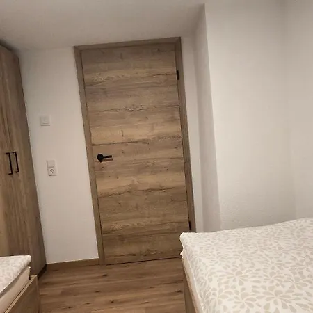 Apartment Hafner- Appartments Saalfelden