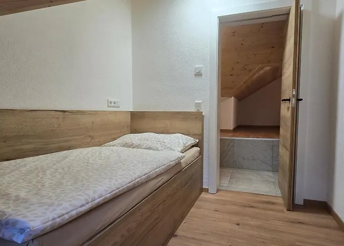 Hafner- Appartments Saalfelden