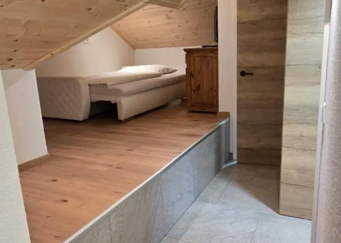 Appartamento Hafner- Appartments Saalfelden